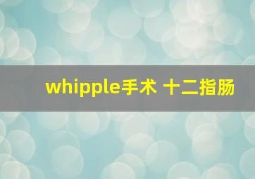 whipple手术 十二指肠